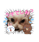 うずれいの毎日（個別スタンプ：19）