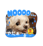 うずれいの毎日（個別スタンプ：21）