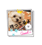 うずれいの毎日（個別スタンプ：23）