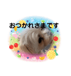 うずれいの毎日（個別スタンプ：25）