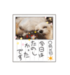 うずれいの毎日（個別スタンプ：27）