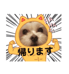 うずれいの毎日（個別スタンプ：29）