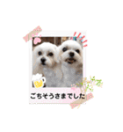 うずれいの毎日（個別スタンプ：32）