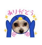 うずれいの毎日（個別スタンプ：34）