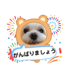 うずれいの毎日（個別スタンプ：38）