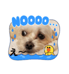 うずれいの毎日（個別スタンプ：39）