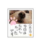 うずれいの毎日（個別スタンプ：40）