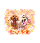 Sakura family╰(*´︶`*)╯♡（個別スタンプ：2）