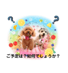 Sakura family╰(*´︶`*)╯♡（個別スタンプ：7）