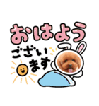 Sakura family╰(*´︶`*)╯♡（個別スタンプ：23）