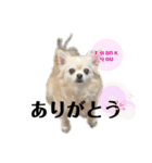 クラインくんの日常会話（個別スタンプ：17）