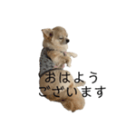 クラインくんの日常会話（個別スタンプ：22）
