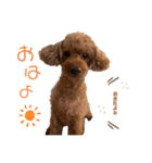りっちゃん ①（個別スタンプ：2）