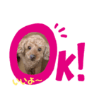 りっちゃん ①（個別スタンプ：6）