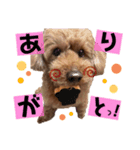 りっちゃん ①（個別スタンプ：8）