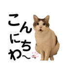 スタンプ絵夢くん（個別スタンプ：2）