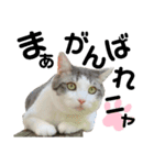 スタンプ絵夢くん（個別スタンプ：9）
