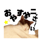 スタンプ絵夢くん（個別スタンプ：16）