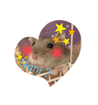 ハムスターのぽぽぽちゃん2（個別スタンプ：5）