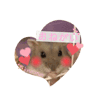 ハムスターのぽぽぽちゃん2（個別スタンプ：8）