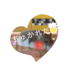 ハムスターのぽぽぽちゃん2（個別スタンプ：9）