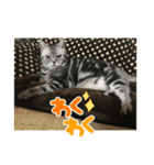 みぬ2（個別スタンプ：5）