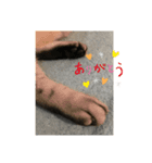 みぬ2（個別スタンプ：6）