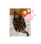 みぬ2（個別スタンプ：8）