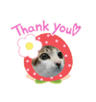 ねこ大好き〜お散歩編（個別スタンプ：9）