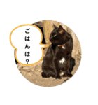 ねこ大好き〜お散歩編（個別スタンプ：18）