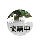ねこ大好き〜お散歩編（個別スタンプ：20）