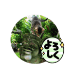 ねこ大好き〜お散歩編（個別スタンプ：28）