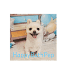 HappyBathPep930（個別スタンプ：1）
