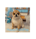 HappyBathPep930（個別スタンプ：3）