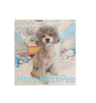 HappyBathPep930（個別スタンプ：7）