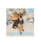 HappyBathPep930（個別スタンプ：9）