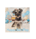 HappyBathPep930（個別スタンプ：11）
