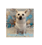 HappyBathPep930（個別スタンプ：13）
