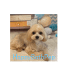 HappyBathPep930（個別スタンプ：14）