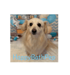 HappyBathPep930（個別スタンプ：16）