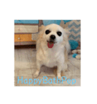 HappyBathPep930（個別スタンプ：19）