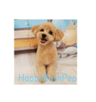HappyBathPep930（個別スタンプ：20）
