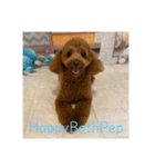 HappyBathPep930（個別スタンプ：23）