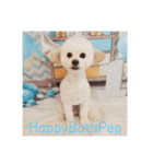 HappyBathPep930（個別スタンプ：24）