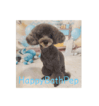 HappyBathPep930（個別スタンプ：26）