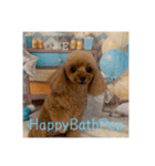 HappyBathPep930（個別スタンプ：31）