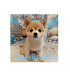 HappyBathPep930（個別スタンプ：33）
