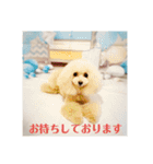 HappyBathPep930（個別スタンプ：36）