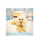 HappyBathPep930（個別スタンプ：37）