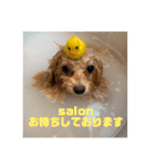 HappyBathPep930（個別スタンプ：40）